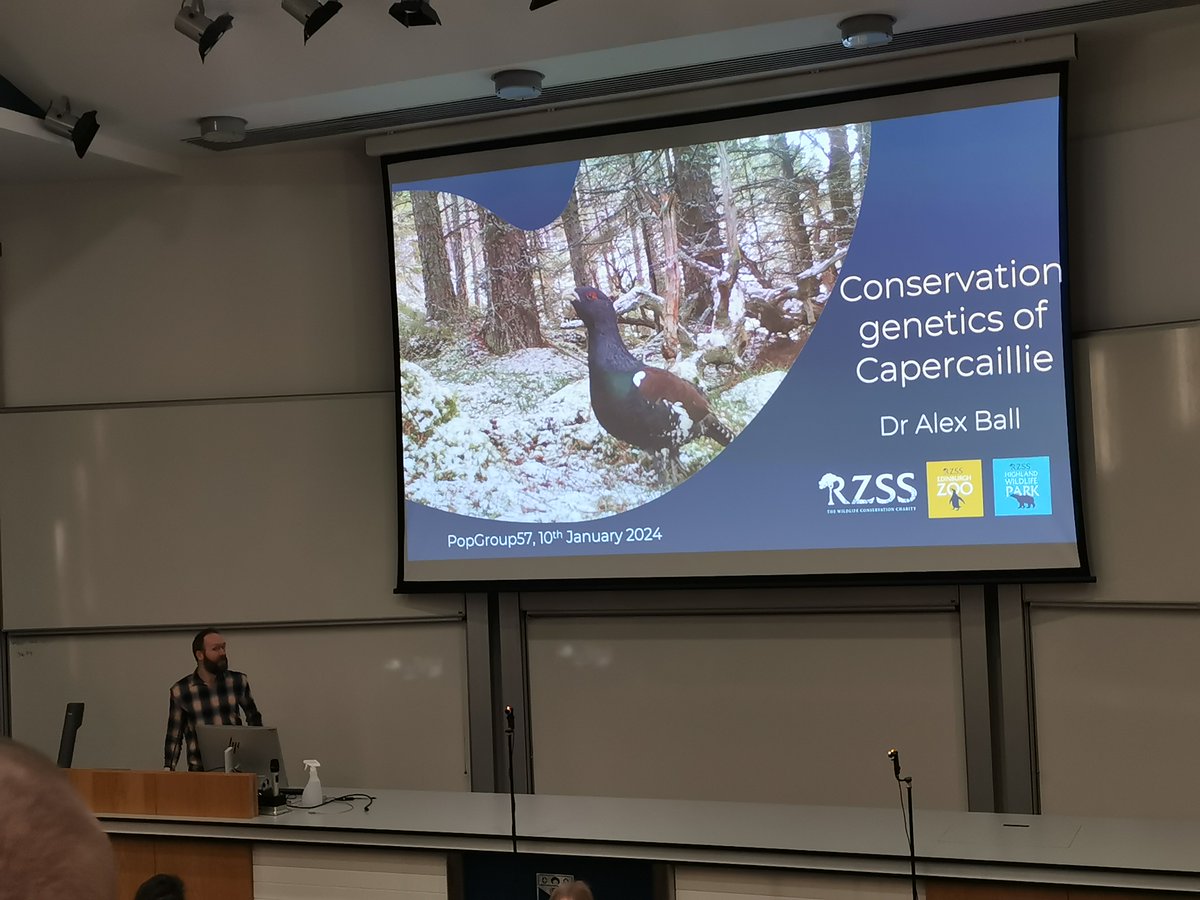 rzss's tweet photo. Our RZSS WildGenes team recently presented at the Population Genetics Group at @univofstandrews 🧬

The attendees of the annual UK meeting of population and evolutionary geneticists heard more about our work with capercaillie, wildcats and Northern rockhopper penguins 👇 https://t.co/OiJMPIaVo6