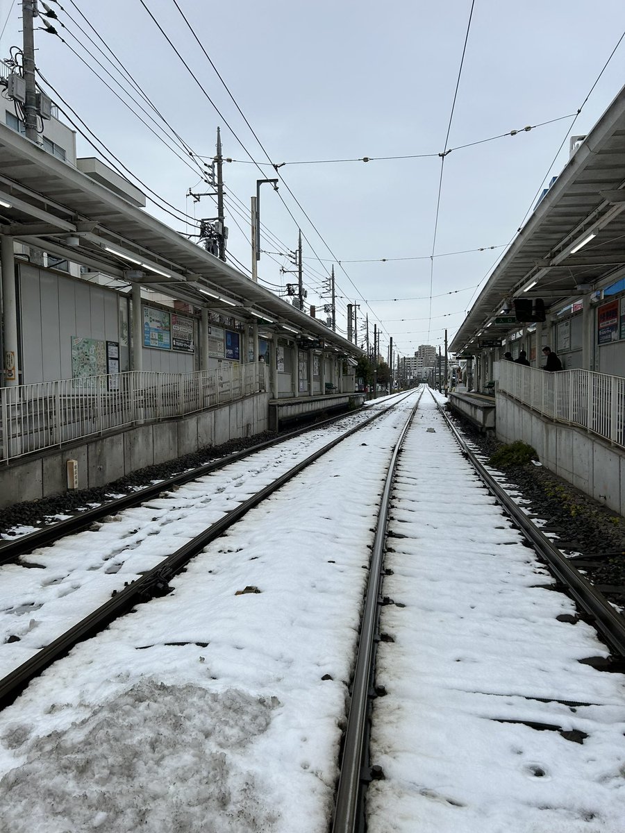 東京で雪って珍しいから写真撮っちゃうよね