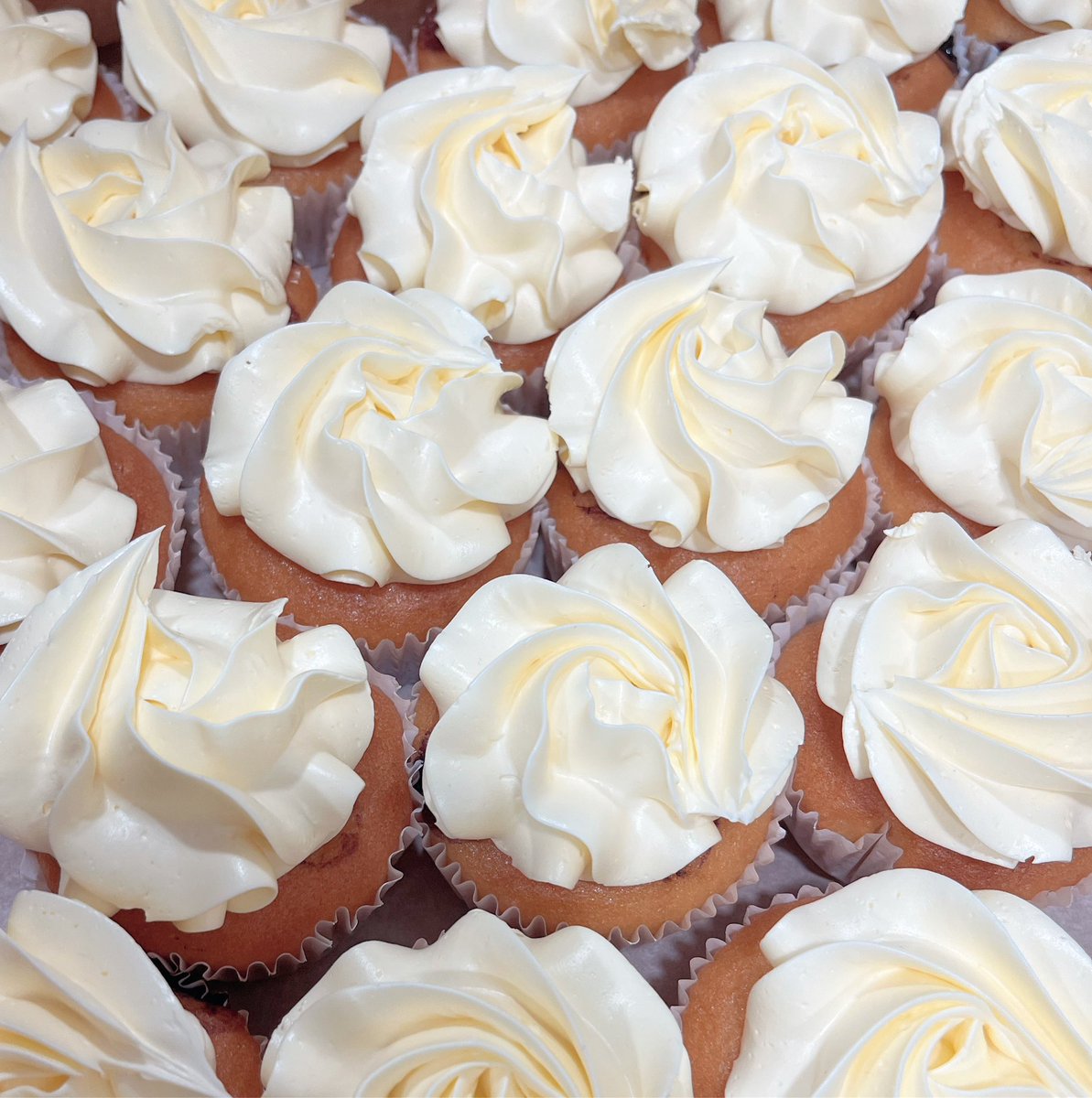 Lots of cupcakes to celebrate lots of fabulous YMOG musicians! 🧁 🎵

We had a lovely little get together at lunchtime today to celebrate our YMOG musicians. Well done Team St Chris Music! 👏

#StChrisMusic #StChrisYMOG 🎵💕