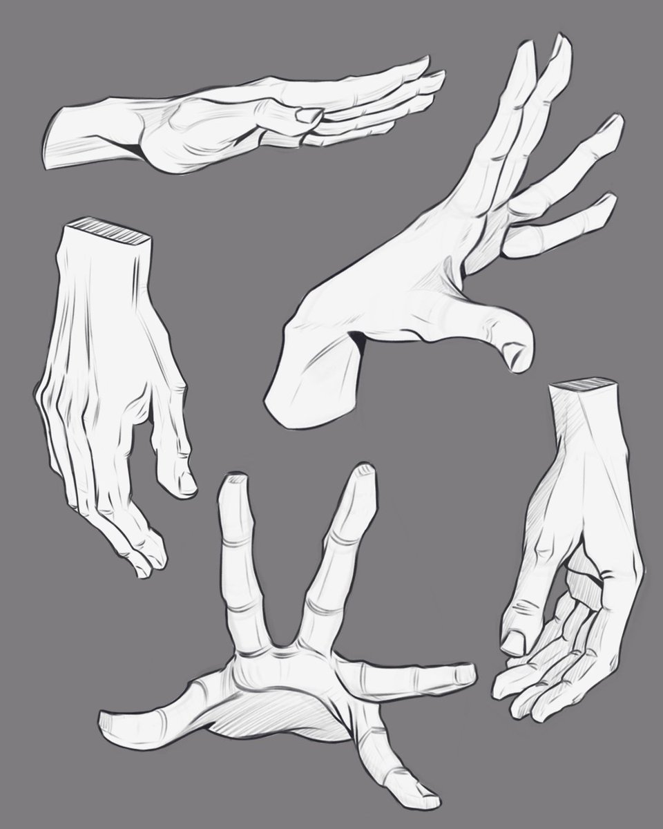 mirano_draws's tweet photo. Hands 21/100 Trying to improve my understanding of hands by drawing a hundred of them. ๐ซ
#Hands #Handsdrawing #Handsstudy #artpractice #artstudy https://t.co/Qg8evvBorM