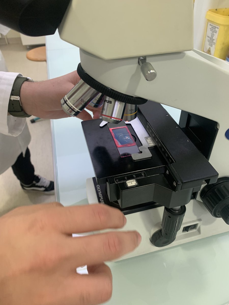 G.Bugarin tweet media