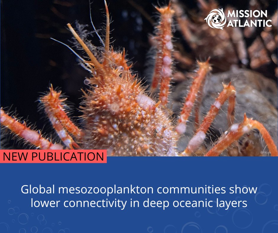 New research sheds light on mesozooplankton's vital role in oceans, uncovering hidden diversity in the Indian Ocean & deep sea. Despite varied patterns, vertical & horizontal structuring is evident, highlighting reduced connectivity at deeper layers. 📰rb.gy/2t189v