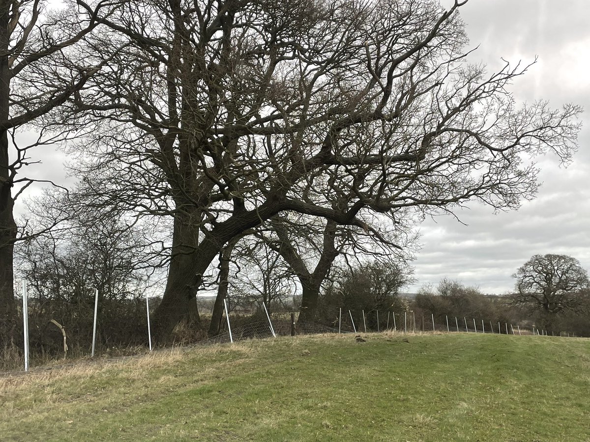 Jo Franklin tweet media