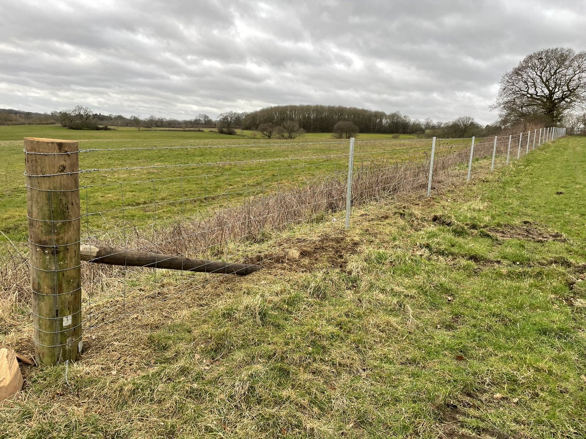 Jo Franklin tweet media