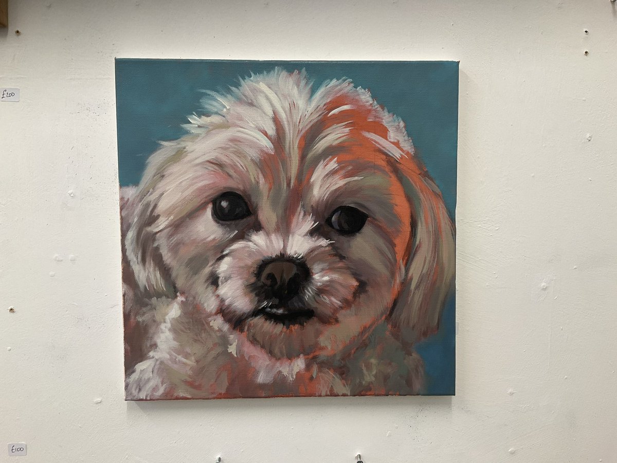 Work in progress. Commission ‘Mabel’ #petportrait #oilpainting #commission