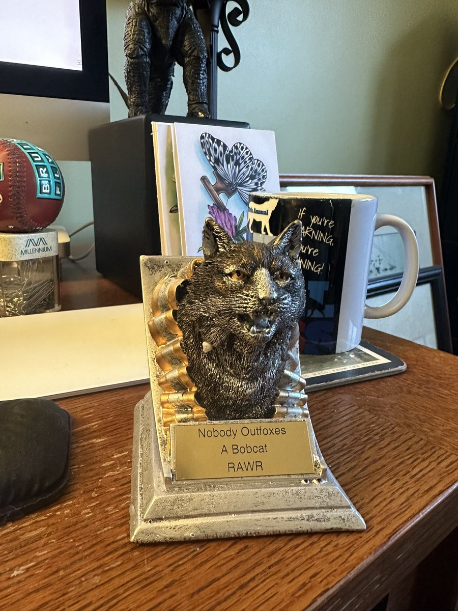 NatickBobCat's tweet photo. As I finally got my gift out of the den and to its recipient, I have opened mine. 

My #SecretStoat absolutely nailed it. 

Breathtaking https://t.co/zPVkVLw7aC