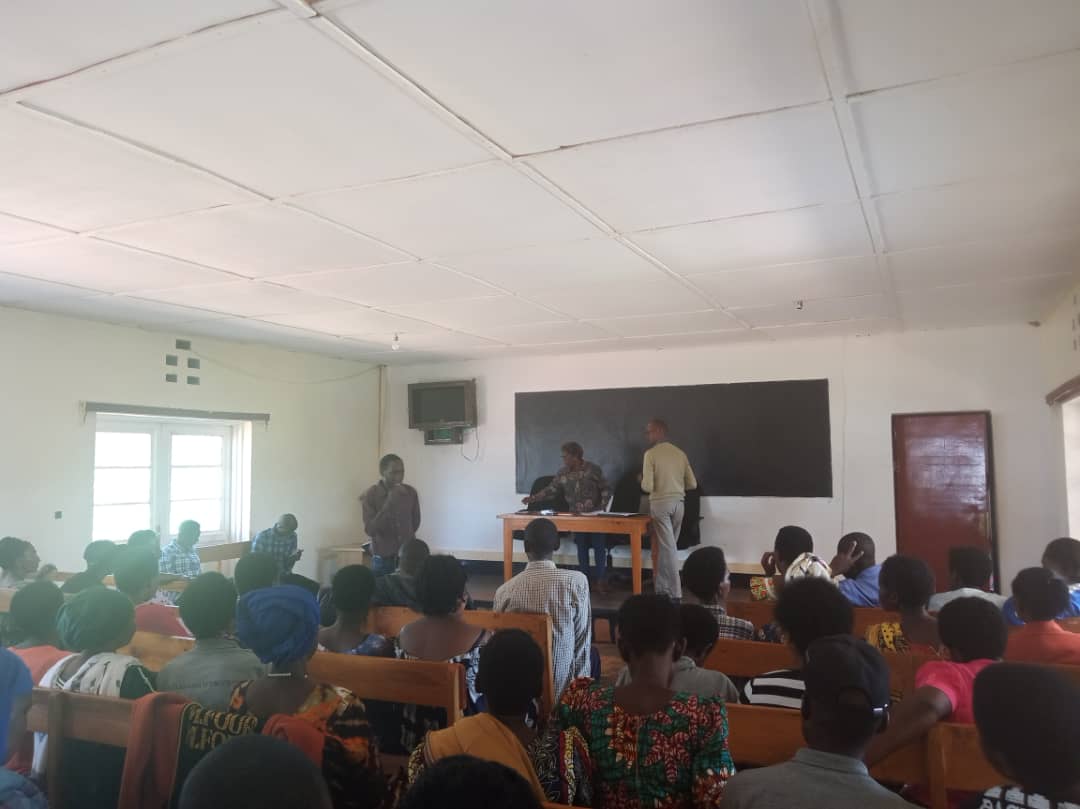 Musha Sector tweet media