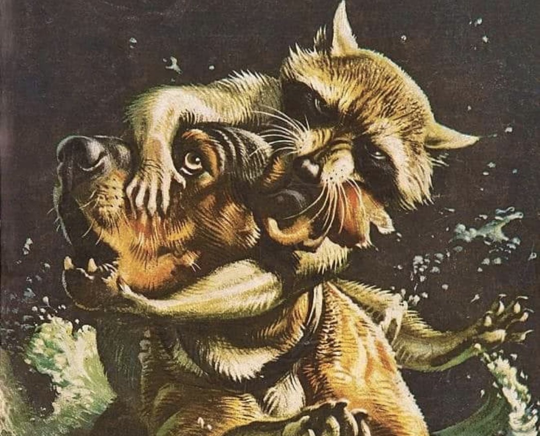 StevenBryanJS's tweet image. Vintage Field &amp;amp; Stream cover. I&apos;m pretty sure that raccoon 🦝 is my spirit animal... Lol