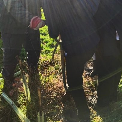 Biddenham Int School tweet media