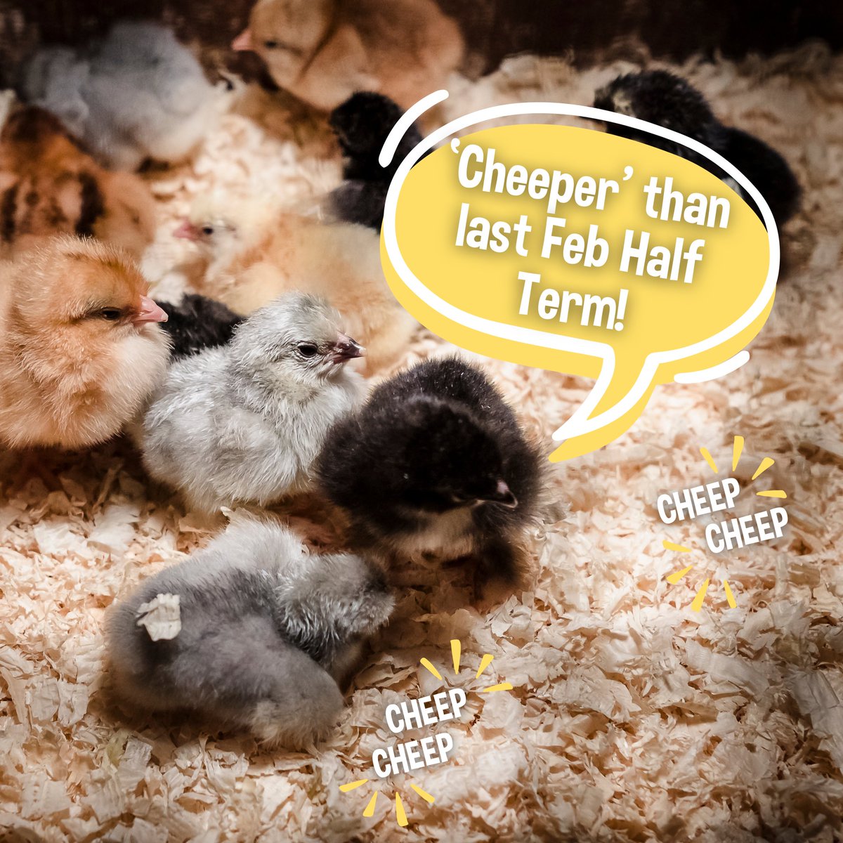 Don’t forget our EGGCITING NEWS! 🐣This Feb Half Term, our tickets are actually ‘cheeper’ than last year! 🤩 We’re trying to do our bit to give back to our incredible customers! ☺️ Book now! 👉 adventurefarm.co.uk