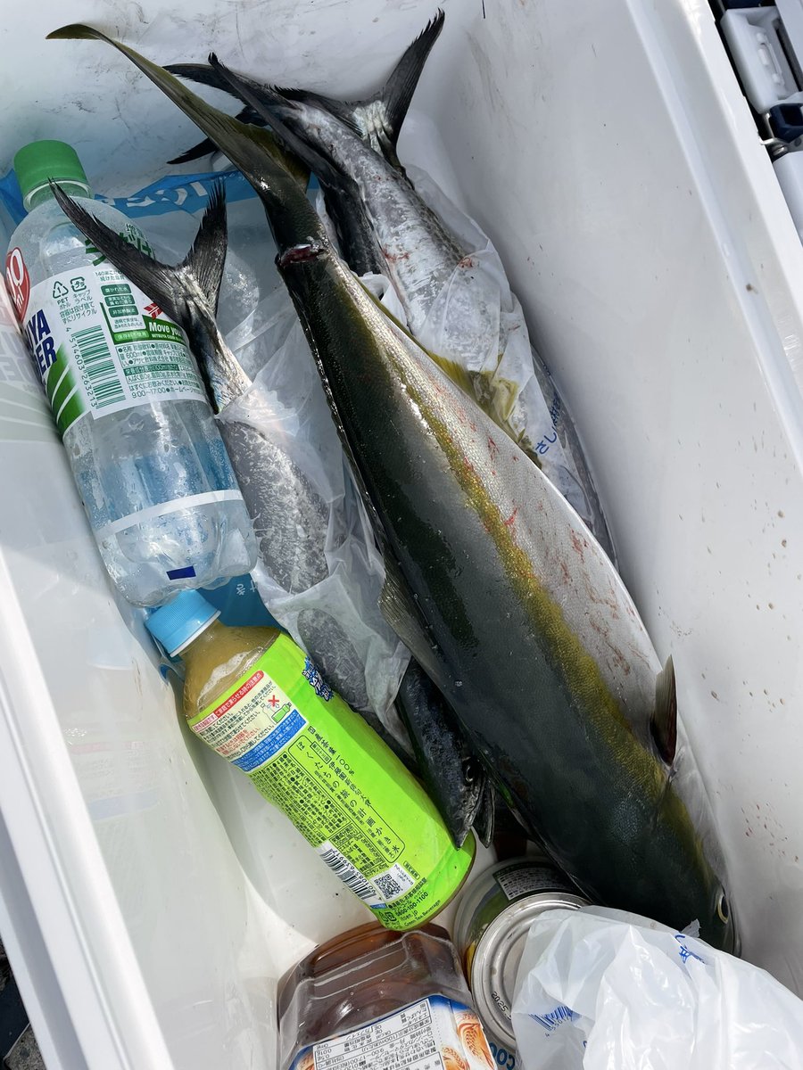 Noristation1990's tweet photo. 阪神間〜から色々な釣り場へ現れます！
キャンプ飯やら魚料理も楽しい事は
全部好きです♡
みなさんフォローよろしくお願いします🙇‍♂️

#Bar #バー #darts #ダーツ #Estrella #エストレラ #BarEstrella #バーエストレラ #Stella #ステラ #CafeBarStella #カフェバーステラ #Cafe #カフェ #Coffee  #珈琲 #party #ヒューガルデン #二次会 #kobe #神戸 #ウイスキー #三宮 #元町 #酒 #お酒好きな人と繋がりたい #ダーツ好きな人と繋がりたい
#釣り好きと繋がりたい