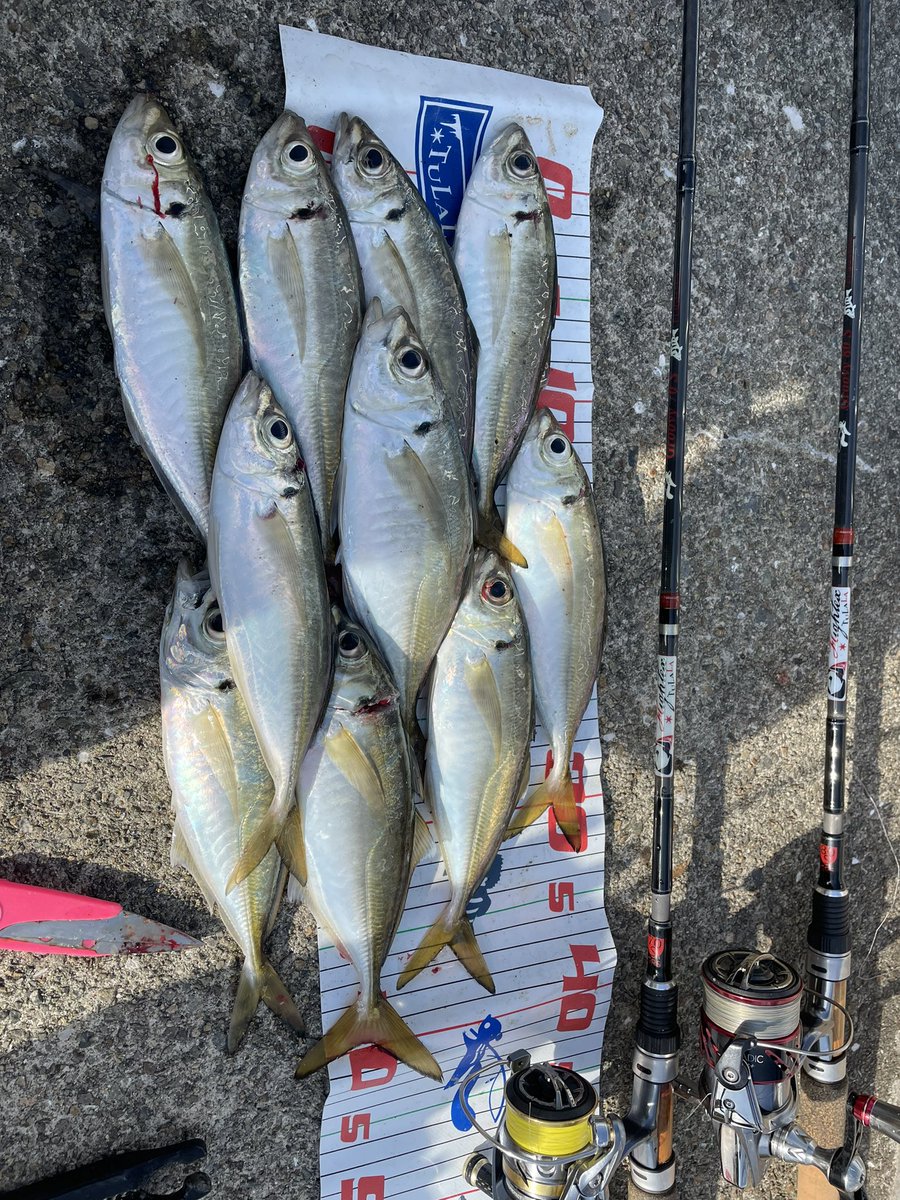 Noristation1990's tweet photo. 阪神間〜から色々な釣り場へ現れます！
キャンプ飯やら魚料理も楽しい事は
全部好きです♡
みなさんフォローよろしくお願いします🙇‍♂️

#Bar #バー #darts #ダーツ #Estrella #エストレラ #BarEstrella #バーエストレラ #Stella #ステラ #CafeBarStella #カフェバーステラ #Cafe #カフェ #Coffee  #珈琲 #party #ヒューガルデン #二次会 #kobe #神戸 #ウイスキー #三宮 #元町 #酒 #お酒好きな人と繋がりたい #ダーツ好きな人と繋がりたい
#釣り好きと繋がりたい
