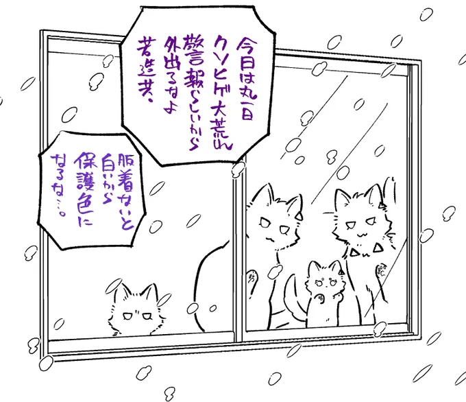 =^・ω・^=へぇゆきじゃん…ってしてる 