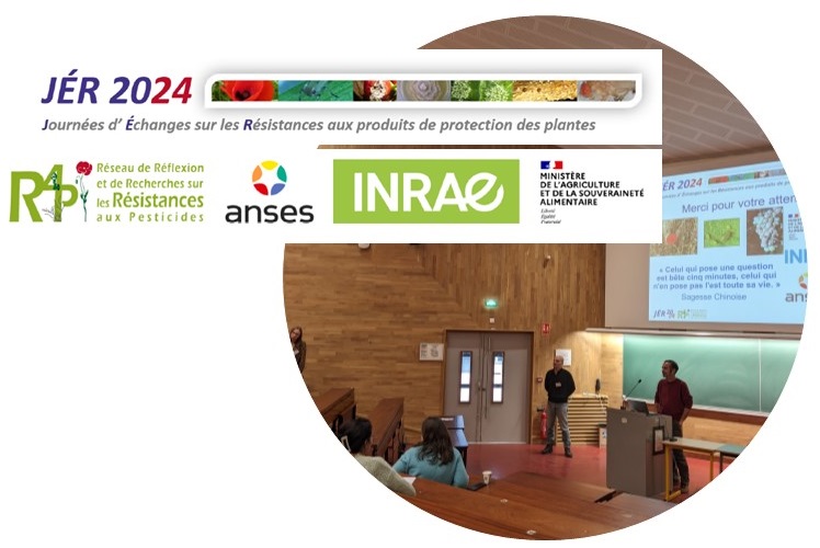 EPPO Efficacy tweet media