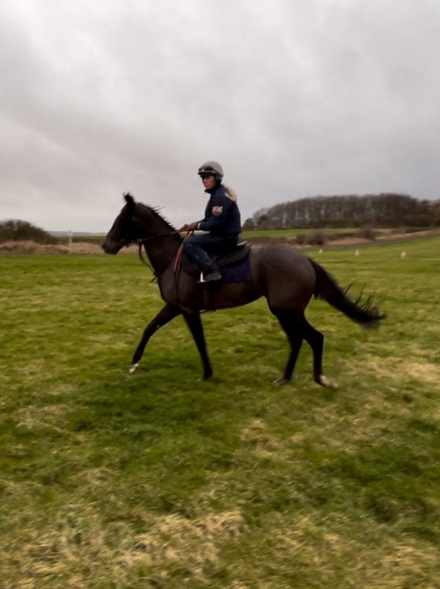 Breezy morning in Malton catching up with @RacingNigel Reflexion Faite settling into her new home - and a fantastic bacon cob/roll - not sure what they call them in these parts - whatever they call them it was bloody good!!