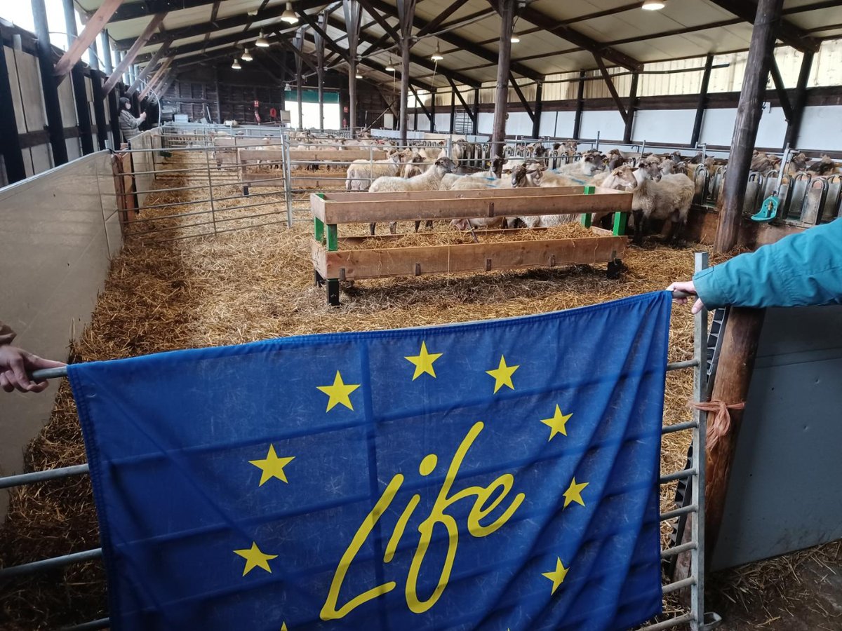 Mine’s an espresso – LIFE programme feeding coffee to Europe’s cows and sheep - European Commission
i.mtr.cool/ufbkcxofyz

#coffee #livestockfeed #coffeelove #farming #diaryfarming #cows