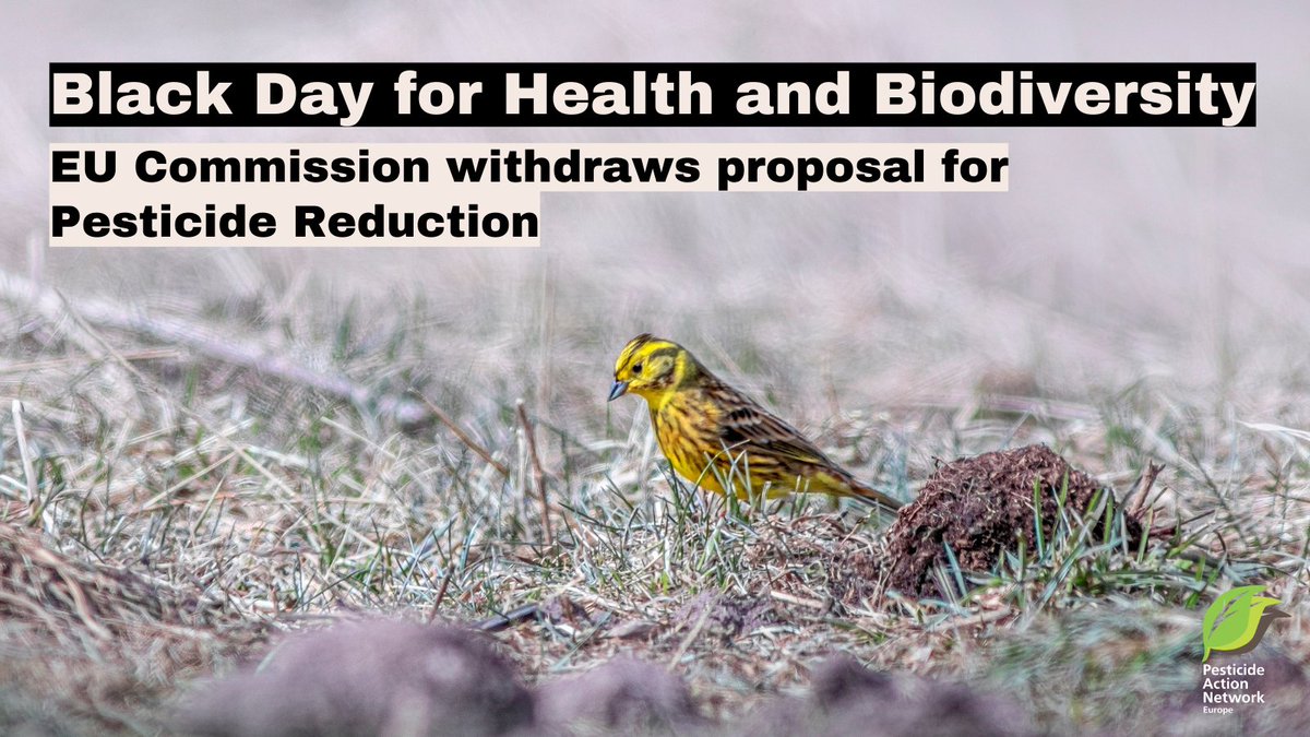 Pesticide reduction is urgent for health, biodiversity, foodsecurity and a sustainable future for farmers. The <a href="/EU_Commission/">European Commission</a> withdrawal of the #Pesticide Reduction #SUR is weak and offers no solution.
pan-europe.info/press-releases…