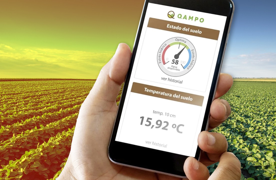 Qampo Agricultura tweet media