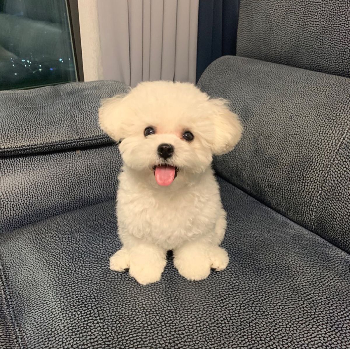 eternalfujoshit's tweet image. Minwon three tweets AU

— Stetoskop Universe —
Just a daily life of dr. Lukito dan dr. Junior pasca married

Episode 10