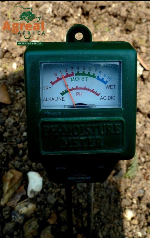 agrealafrica's tweet photo. Unlock the hidden potential of your land with soil testing!By understanding your soil's composition, you can make informed decisions about fertilizers, irrigation, and crop selection. It's time to harness the power of knowledge! #AgriculturalEmpowerment #GrowingWithFarmers https://t.co/YJqJz8XGo4