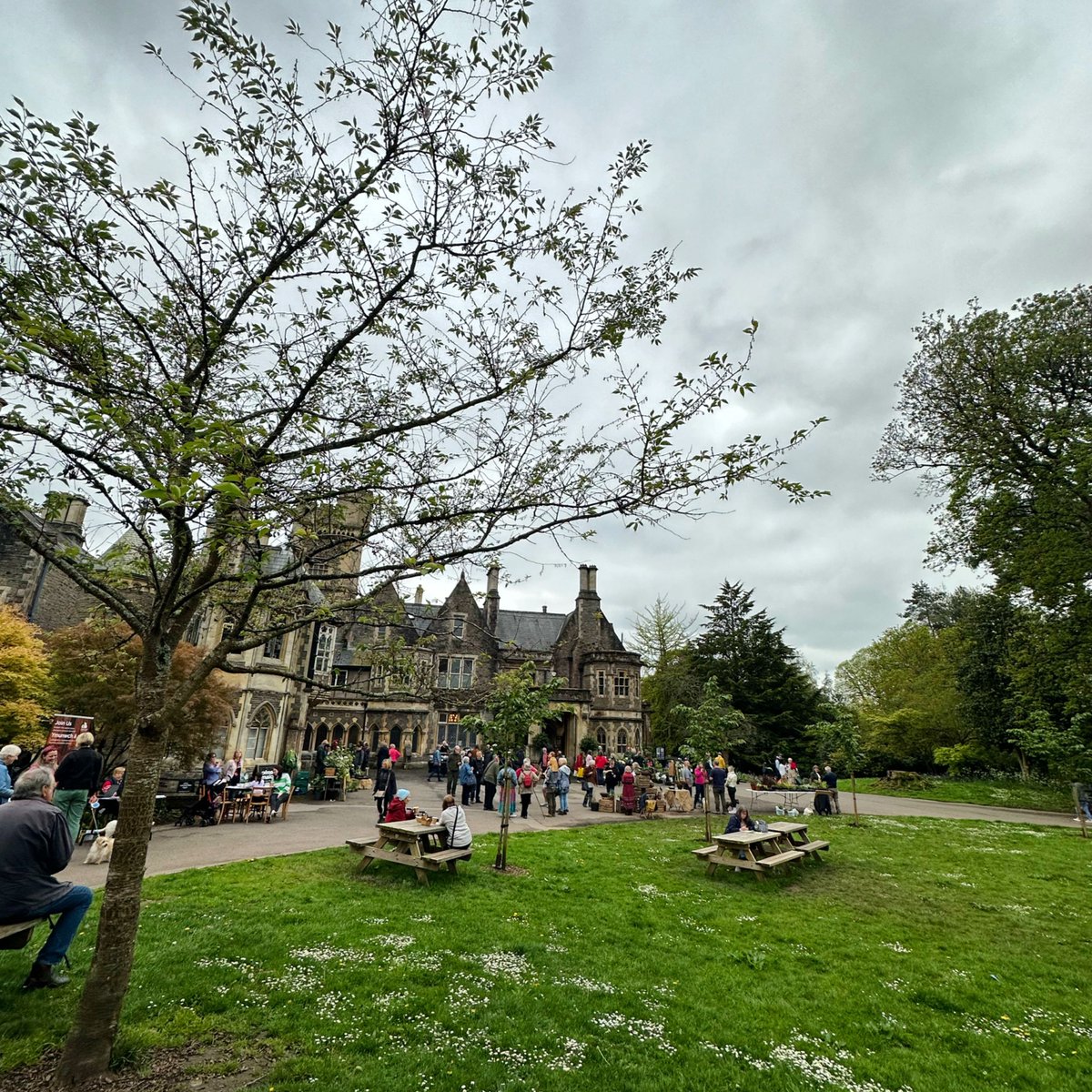 Half Term at Insole Court
💚Chinese New Year - 10th February
💚 Sense &amp; Sensibility <a href="/darkenedrooms/">Darkened Rooms</a> - 11th February
💚 Arts &amp; Crafts - 13th February 
💚 Peggy's Pots - Galentines Night - 13th February 
💚 Little Growers - Seed Sowing - 14th February
More information on our website