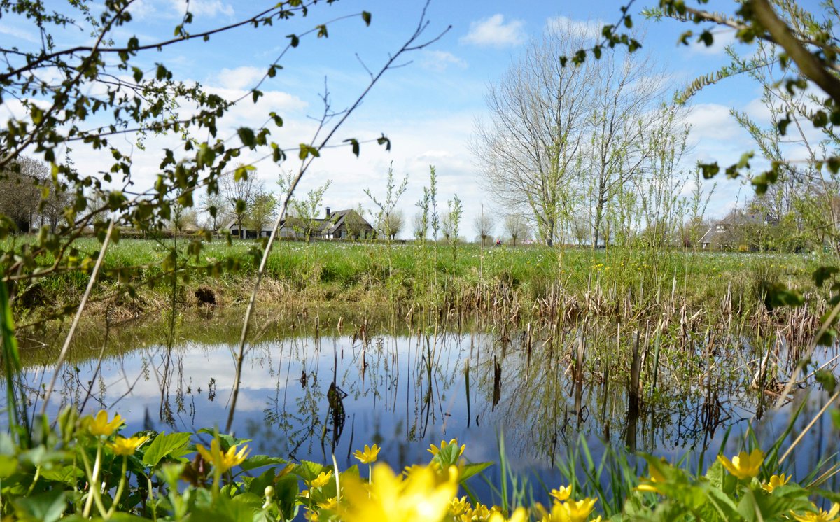 Genieten van de #IJsseldelta? Dat kunnen we samen mogelijk maken. Steun ons werk, wij hebben de #ANBI status. Wij werken aan aanleg en herstel van landschapselementen en staan borg voor langjarig beheer. bitly.ws/3cwaf