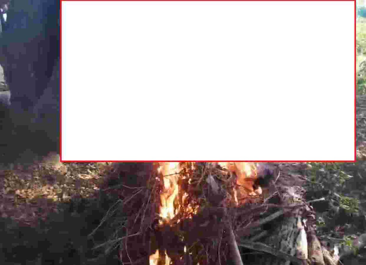 Khit Thit Media tweet media