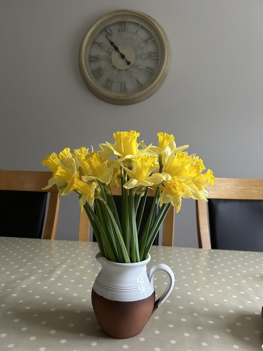DeasyPamela's tweet photo. Steps in early, still not feeling great, & antibiotics play havoc on my system π€’ no College today, fire and couch for the evening, what a day now π«£βοΈπ§οΈπ¨βοΈ something to brighten up a Tuesday day
#day37 day37/100 of #100daysofwalking #round2crew #TuesdayMotivaton https://t.co/80xDseyyi4