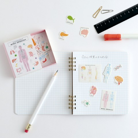 vgvd's tweet photo. あなたの知的好奇心をくすぐる!!
【#STUDYHOLIC】
図鑑型ケース付きフレークシール(#人類生物学)
▼https://t.co/xrrIIZPTUS https://t.co/slsbUCCPqI