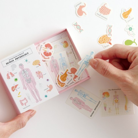 vgvd's tweet photo. あなたの知的好奇心をくすぐる!!
【#STUDYHOLIC】
図鑑型ケース付きフレークシール(#人類生物学)
▼https://t.co/xrrIIZPTUS https://t.co/slsbUCCPqI