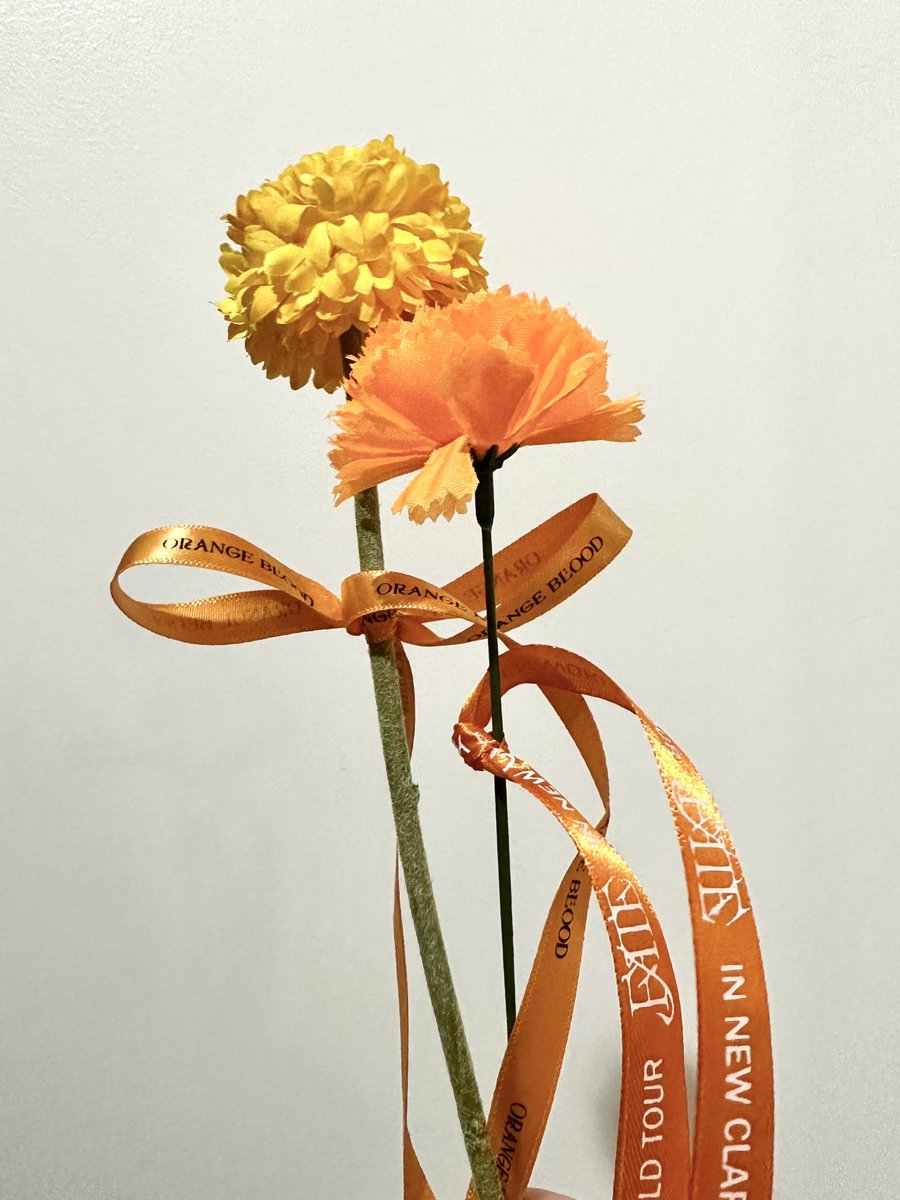 from enha and for enha 🥹