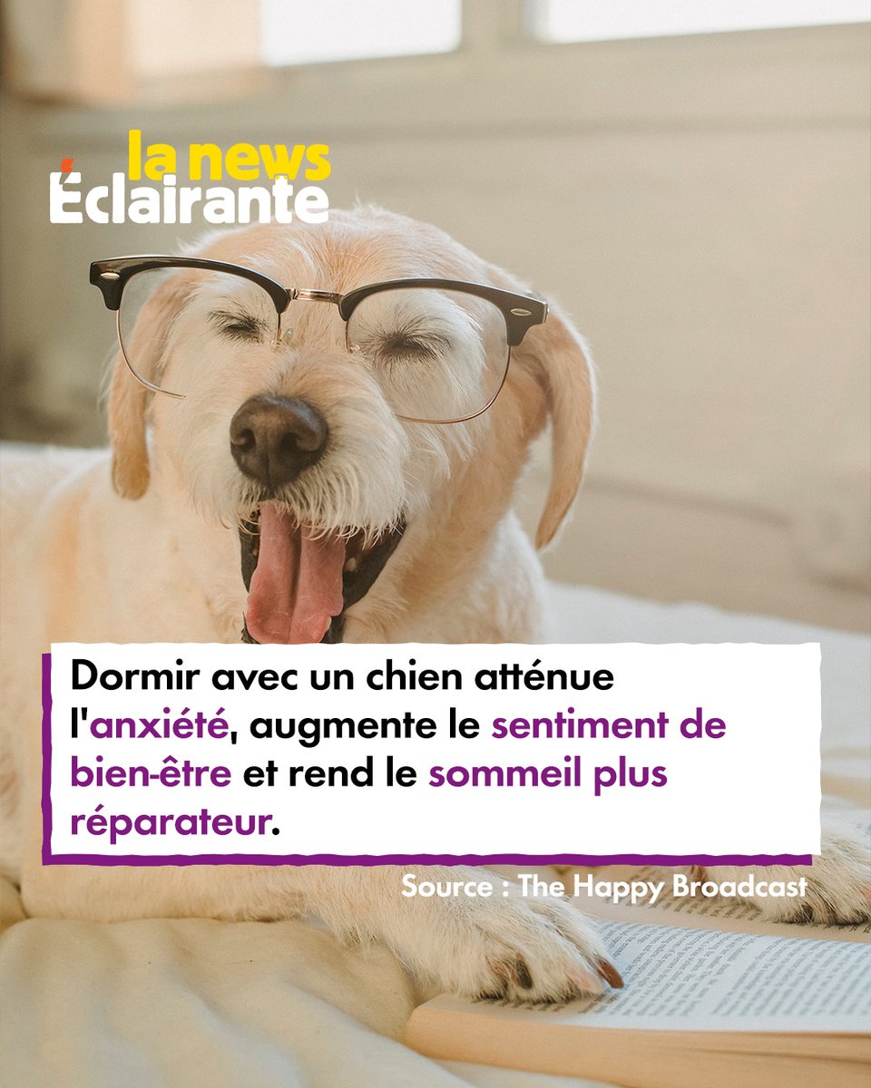 Une étude récente a démontré que ceux qui dormaient avec leur chien ou leur chat étaient moins déprimés et stressés. 😎

L’étude a également démontré que ces personnes entrent plus facilement en phase de sommeil profond, et ont donc un sommeil bien plus réparateur. 😴