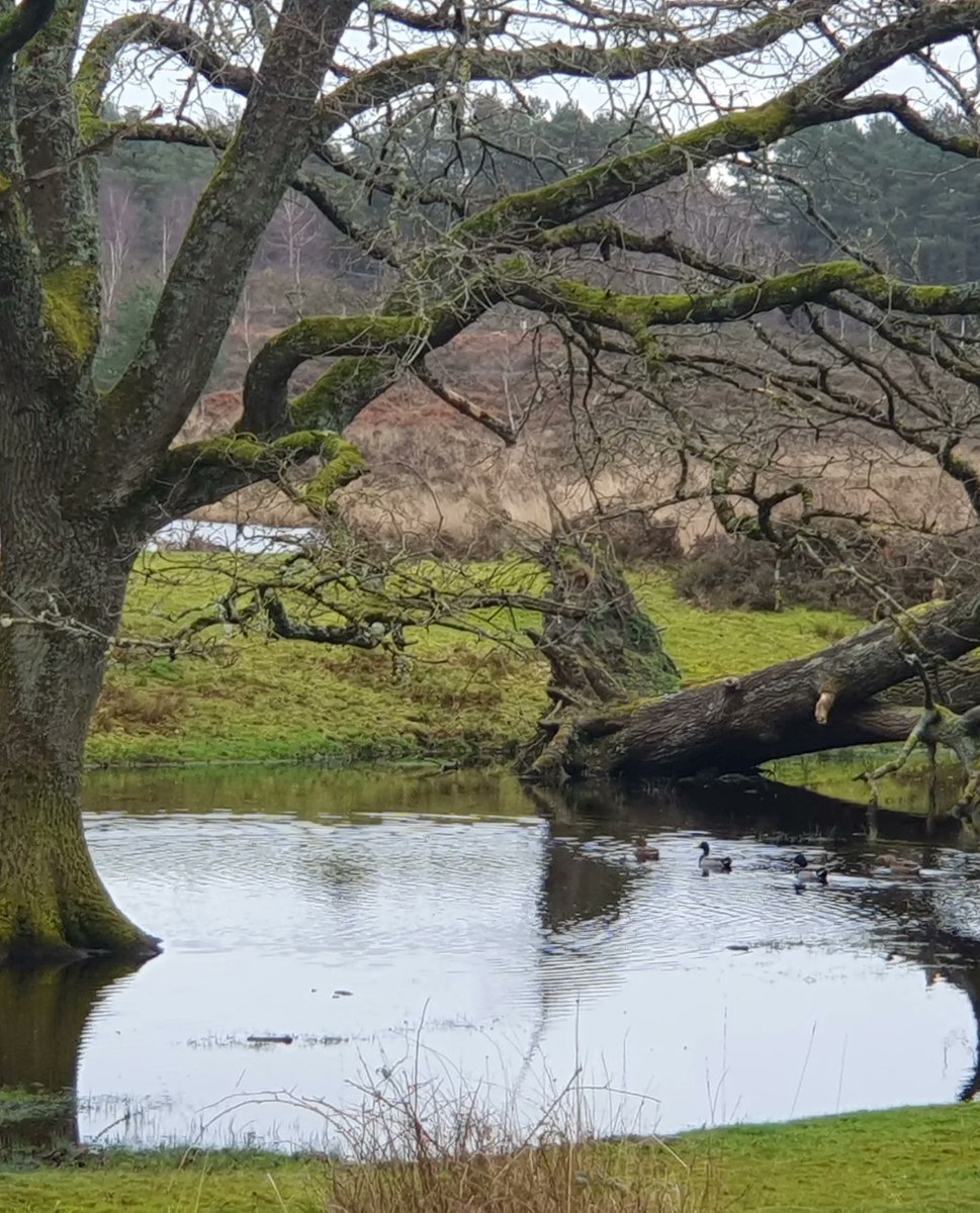 ZhepzyMudRunner's tweet image. Day 6/29 pancreatic cancer fundraiser for Katie ❤️

I think I was hungry today .. 🐌
#TWC #TwittaWinterChallenge #SonicWinterSprinters

justgiving.com/page/east-hant…