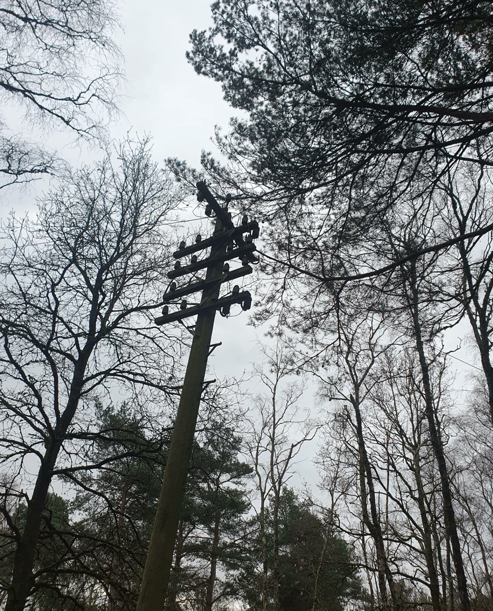 ZhepzyMudRunner's tweet image. Day 6/29 pancreatic cancer fundraiser for Katie ❤️

I think I was hungry today .. 🐌
#TWC #TwittaWinterChallenge #SonicWinterSprinters

justgiving.com/page/east-hant…