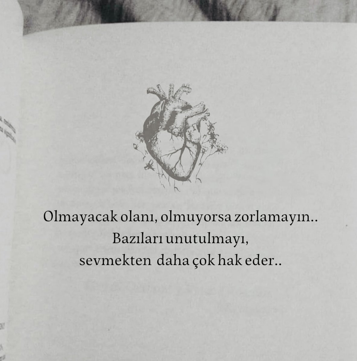 Kesinlikle 💯