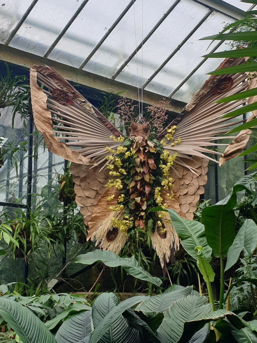 The Ourbarn gardening team enjoyed a well deserved break from gardening . We popped along to the Orchid festival at Kew Gardens. Very enjoyable.