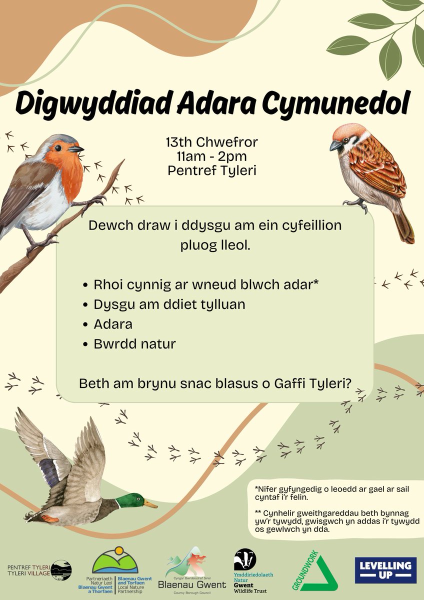 Community Bird Watch Event - 13th February. 11am - 2pm - Pentref Tyleri, Cwmtillery, Blaenau Gwent Digwyddiad Adara Cymunedol - 13 Chwefror. 11am - 2pm - Pentref Tyleri , Cwmtillery, Blaenau Gwent