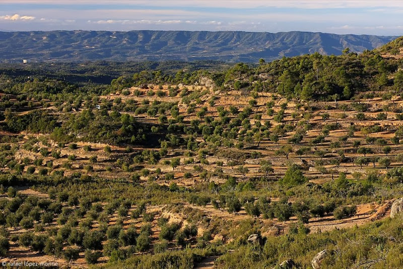 Pel futur del territori,
per una pagesia amb futur! ✊🚜

#LaPagesiaDiuProu6F