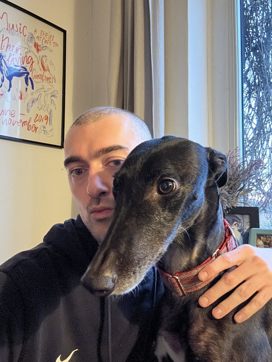 jack lynch tweet media