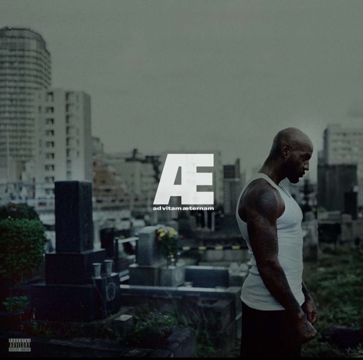Booba sort son 11ème dernier album ce vendredi 9/2. 
#AE