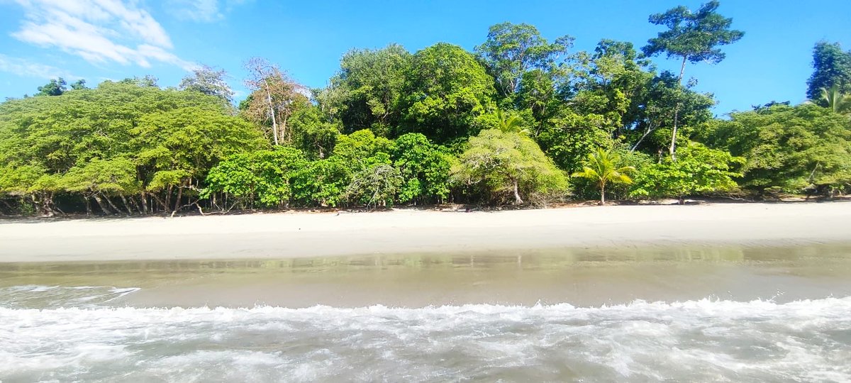 Sarah-Louise Tyler tweet media