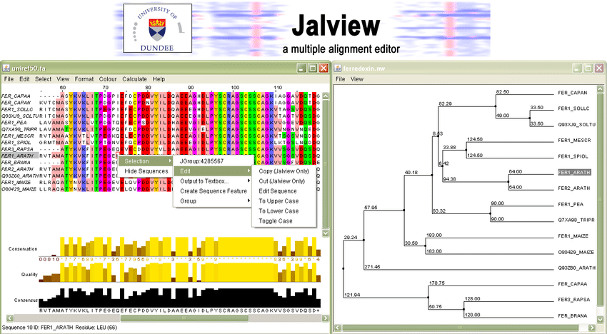 malcolmacaulay's tweet photo. We look forward to welcoming this year's group of Daffodil DNA project partners to @JamesHuttonInst @UoDLifeSciences @DundeeBotanics for a day of DNA extraction, gel electrophoresis, nanopore sequencing prep and bioinformatic analysis! #daffdna https://t.co/OUUrIh10H1