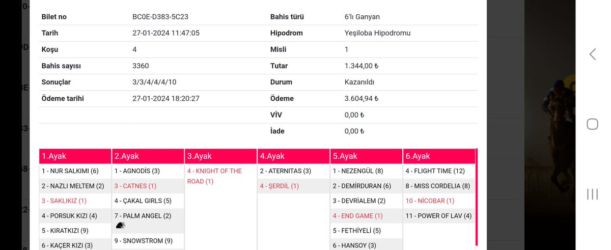 Yeni yayınlanacak olanların içinden kendi kursunuzu yapın derim