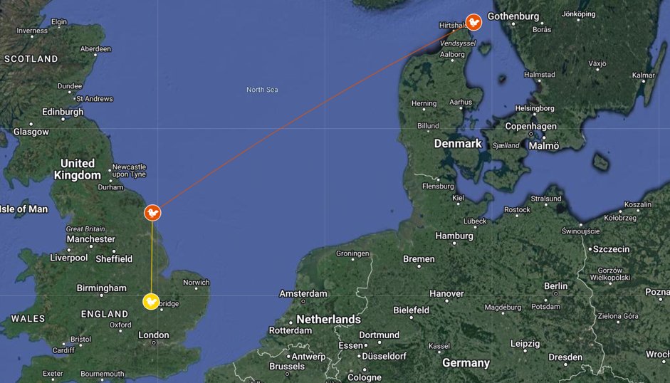 Details of two Goldcrest caught <a href="/Bempton_Cliffs/">RSPB Bempton Cliffs</a>  during October #migweek 2023; the first (red) originally ringed on Skagen, Denmark on 23rd September 780km away and the second (yellow) ringed here &amp; then recaught 7 days later in Great Stukeley in Cambridgeshire 198km away. Cool!