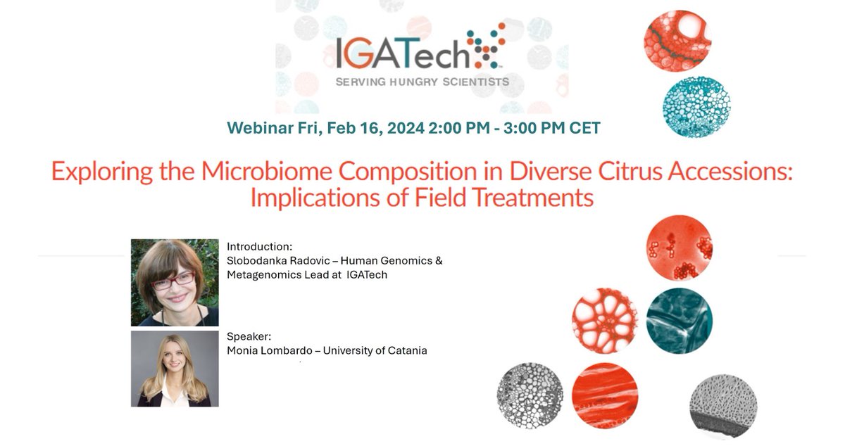IGATechnology's tweet photo. Join us for a free webinar!
On #citrus #microbiome composition &amp; function.
What is its core &amp; how it changes under biological &amp; copper #antimicrobials.
Register at https://t.co/H5NExKjU4E
Available also on demand
#AmpliconSeq in plant disease management strategies
#metabarcoding https://t.co/T0u3akDwWS