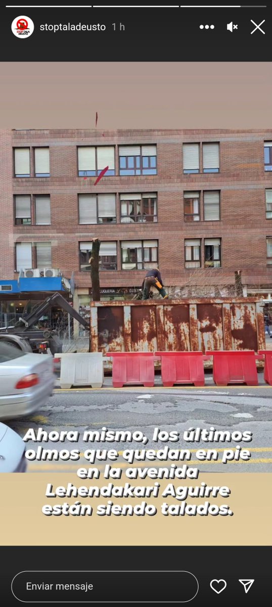 STD_HiriBerdeak's tweet photo. ☠️Hoy, los últimos Olmos que quedaban en pie, han sido talados🪓. NO QUEDA NINGUNO🪵🧱. 128 ÁRBOLES MENOS EN BILBAO.
@bilbao_udala @juanmariaburto  @eajpnvbilbao ¡CULPABLES!😤😡 https://t.co/dilJ52XIha