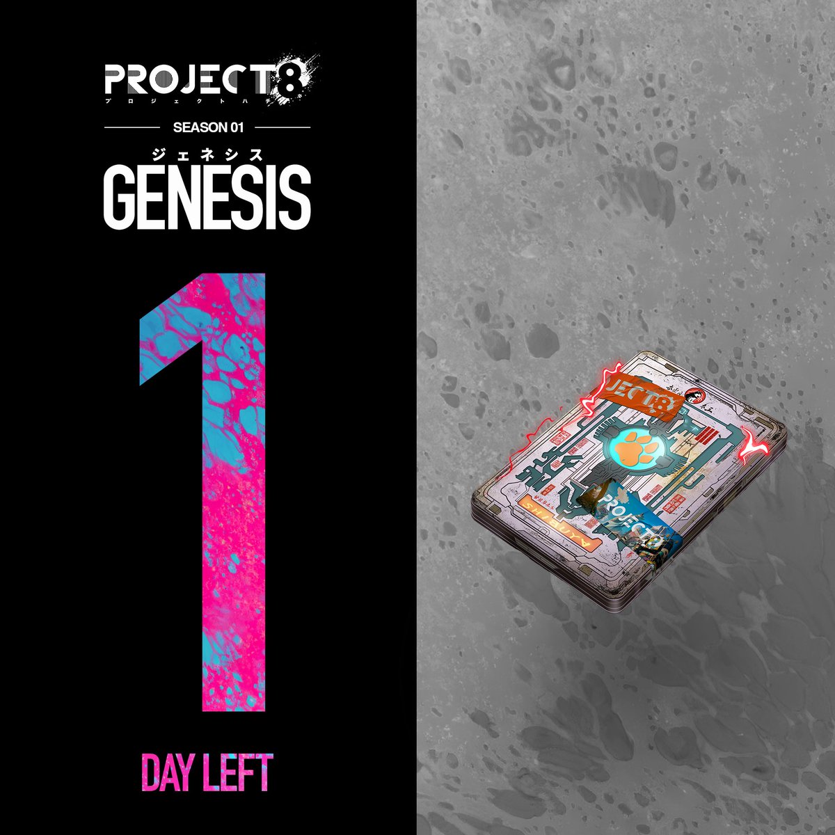PROJECT8 tweet media