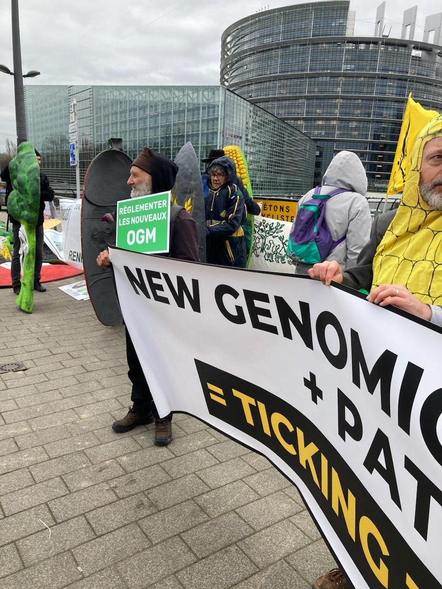ConfPaysanne's tweet photo. #StopOGM : début de la mobilisation devant le Parlement européen Strasbourg. La @ConfPaysanne et 12 organisations paysannes, environnementales et de la société civile appellent les député·es européen·nes à voter contre la déréglementation des #OGM 👇
https://t.co/cUzT1omL7b https://t.co/QmoDEdf89d