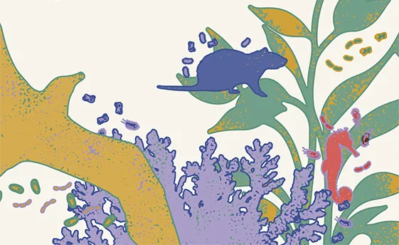 SymbNET's tweet photo. 📢Thrilled to announce  that registrations for the @SymbNET International Conference on Host-Microbe Symbiosis🗓️10-13 Jun 2024 in Olhão, Portugal, are now open! Don't miss out – check all the details and apply by March 15th. Stay tuned for more updates! https://t.co/FXDnVPmjVg https://t.co/ypx6Zc8pSq