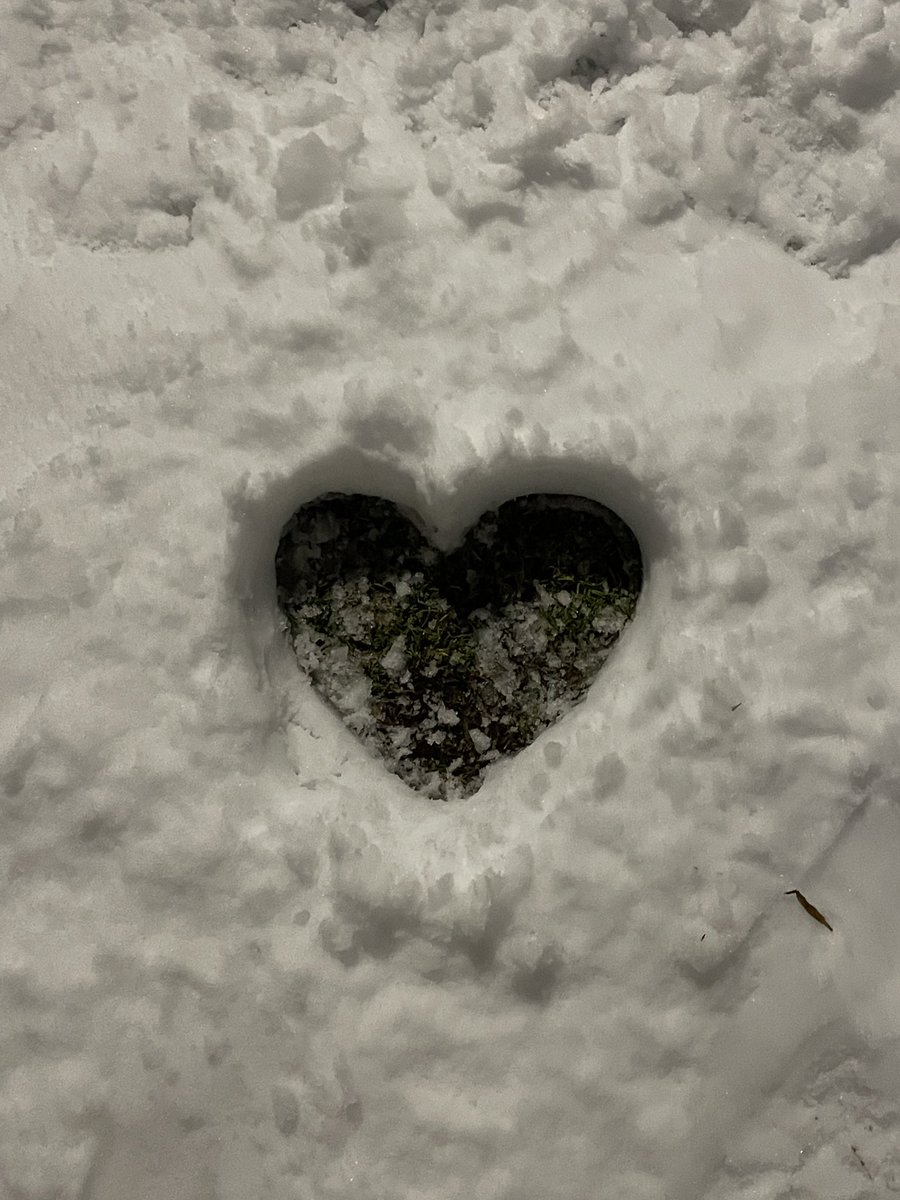 ren_eclair's tweet photo. 雪×ハート　かわい！♡

#雪 #snowday #ハート https://t.co/EqqzNjxHZL
